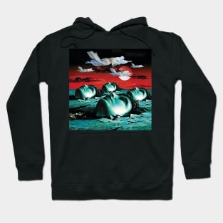 Spirits Of The Barren Plain Hoodie